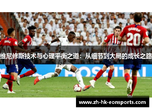 维尼修斯技术与心理平衡之道：从细节到大局的成长之路