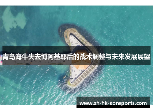 青岛海牛失去博阿基耶后的战术调整与未来发展展望